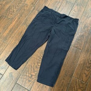 Ann Taylor Loft Capri pants womans size 14p
